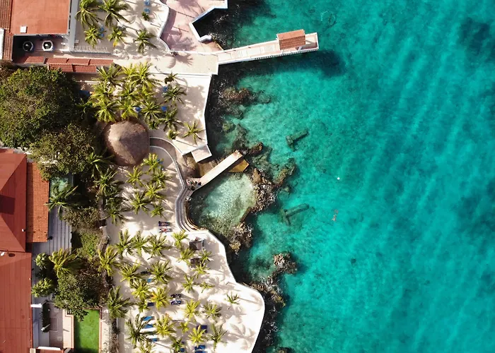 & Cozumel