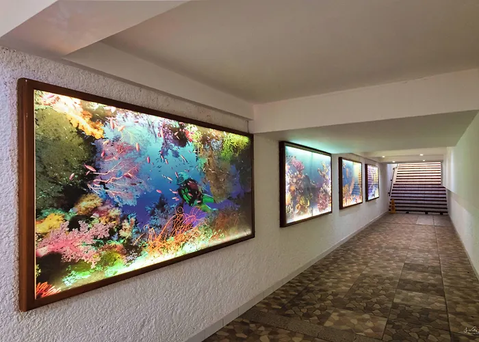 & Hotel Cozumel